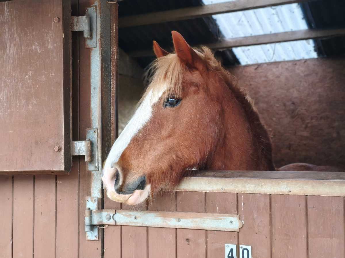 Poco X8 Pro Max Test Photo 2