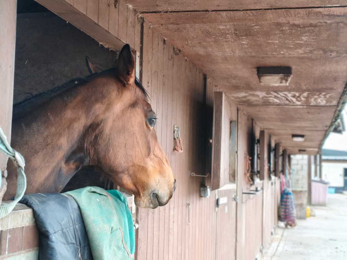 Poco X8 Pro Max Test Photo 3