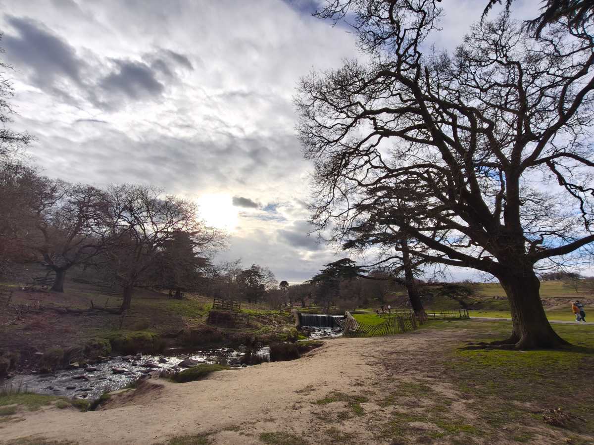 Poco X8 Pro Max Test Photo 6