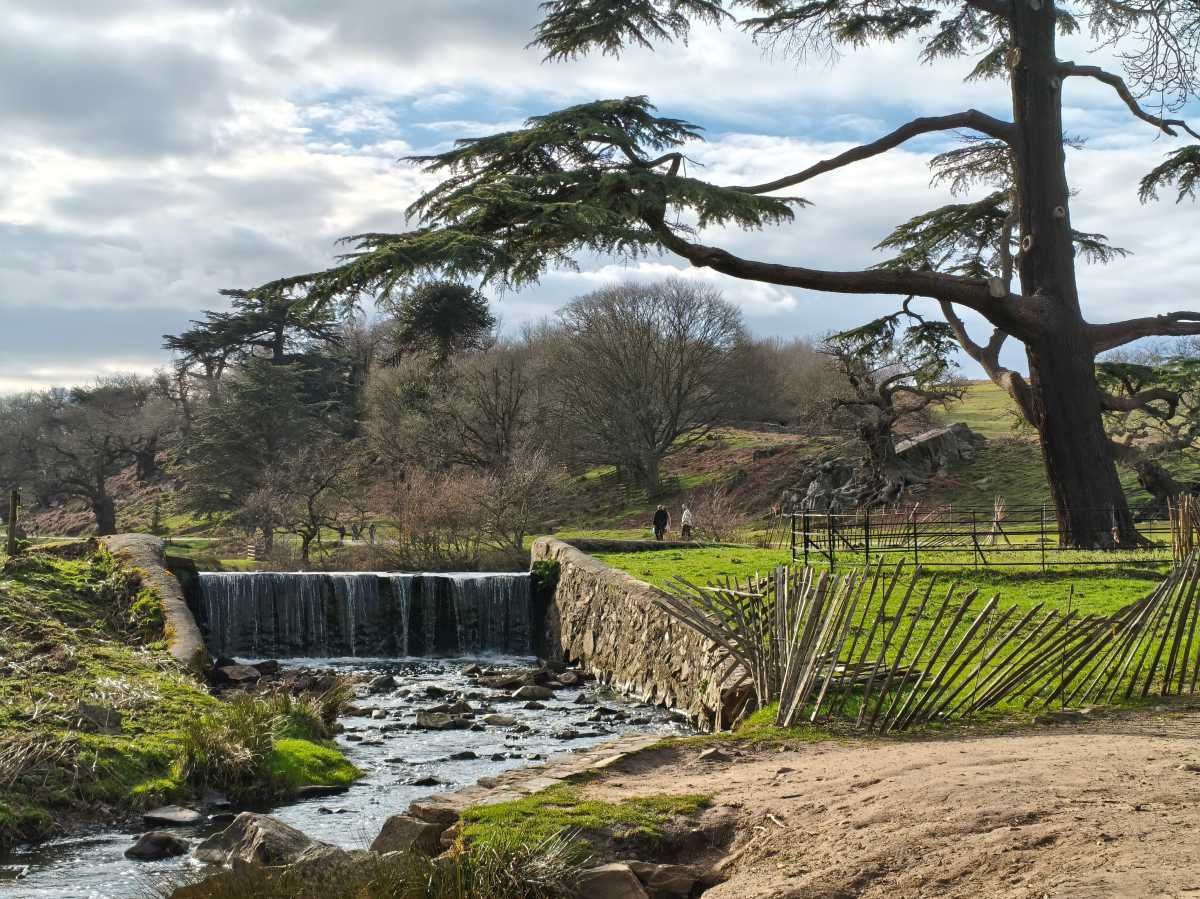 Poco X8 Pro Max Test Photo 8