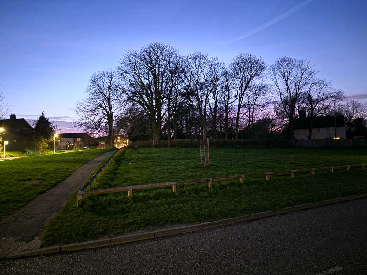 Samsung Galaxy S26 Low light green space