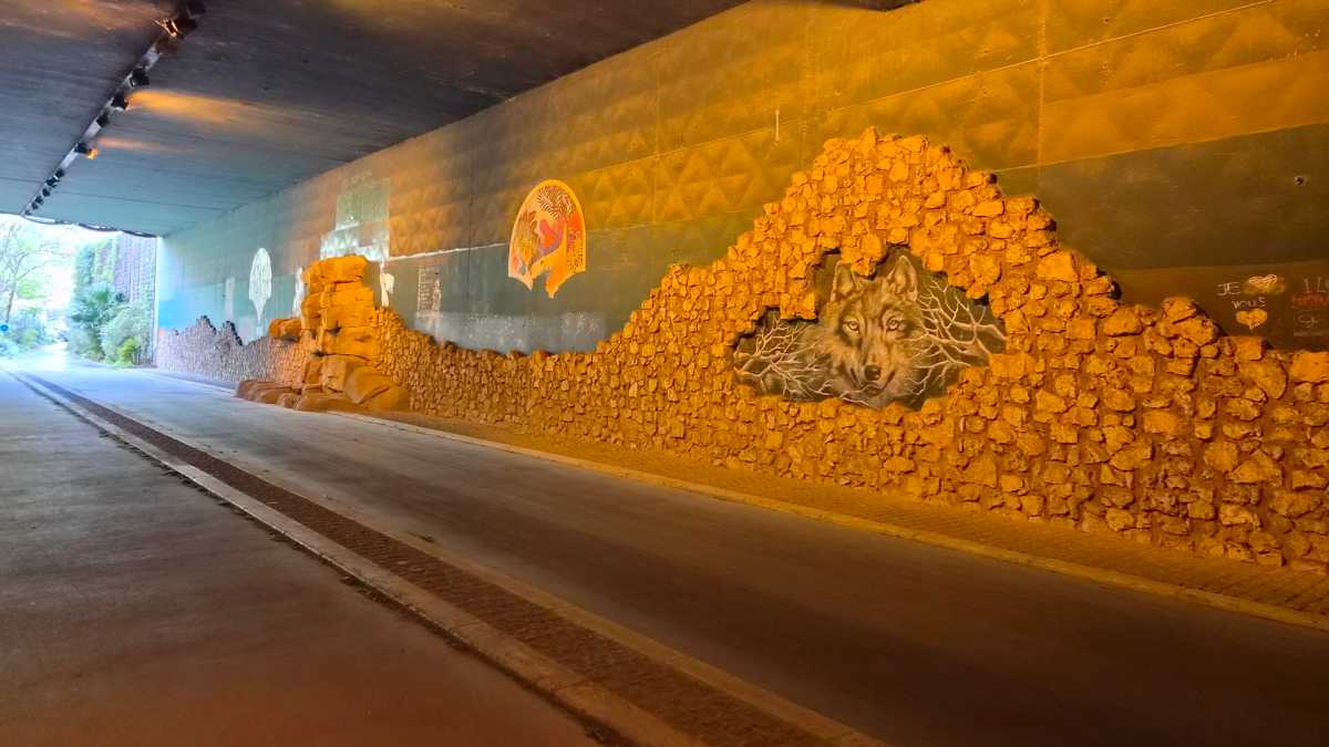 Samsung Galaxy S26 Photo1