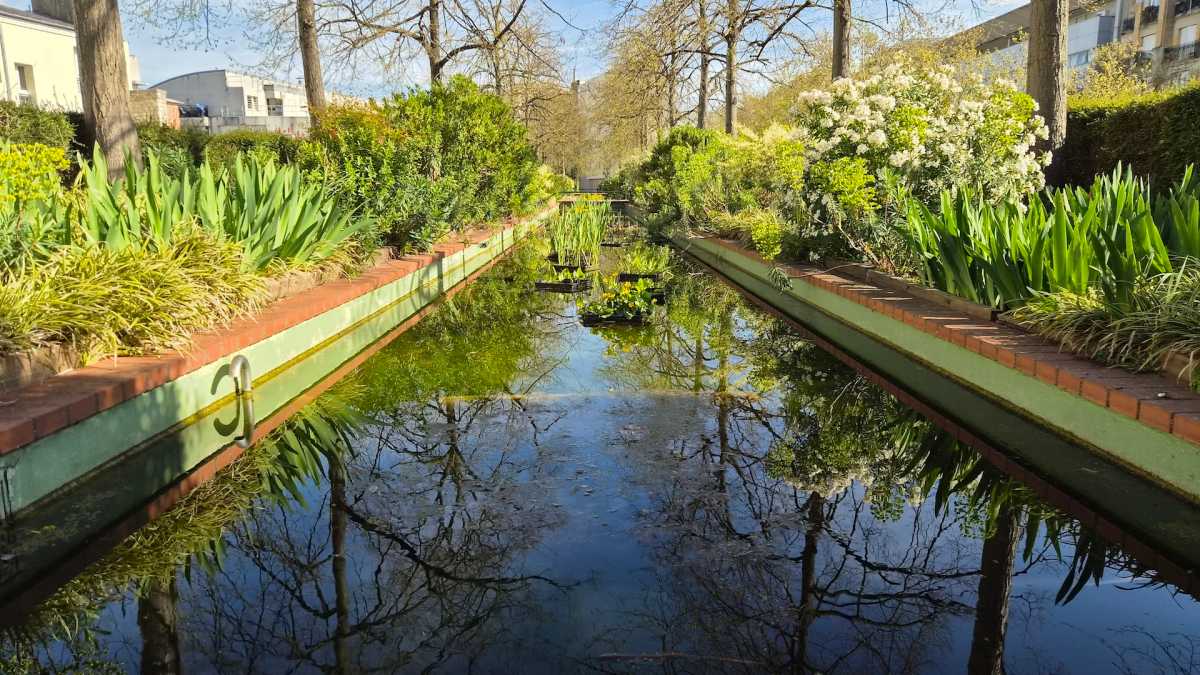 Samsung Galaxy S26 Photo12