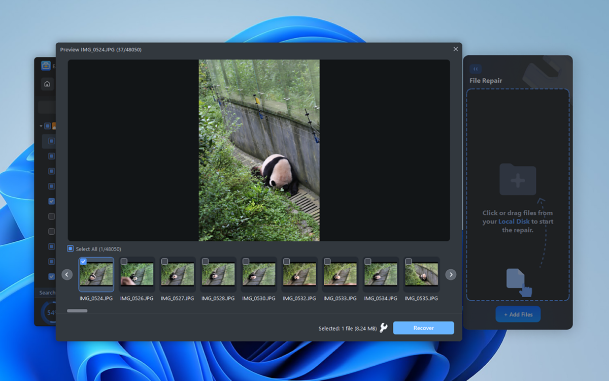 recover photos from sd card easeus