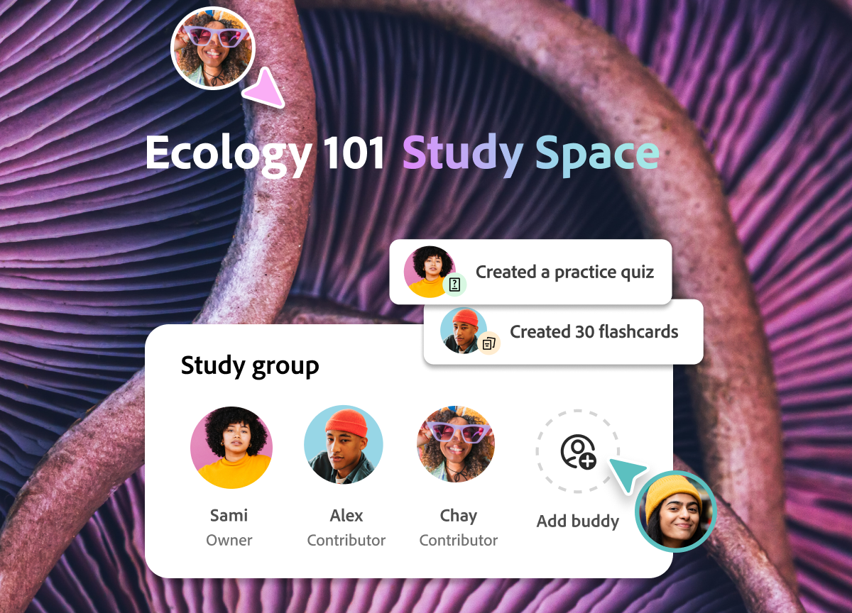 Acrobat Student Spaces Study