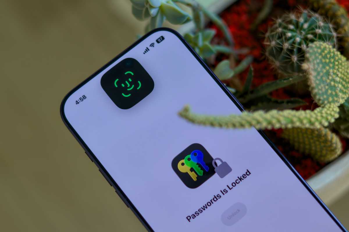 Apple Passwords app on iOS
