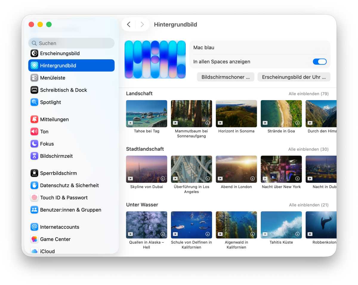 Macbook Neo: Der perfekt organisierte Schreibtisch