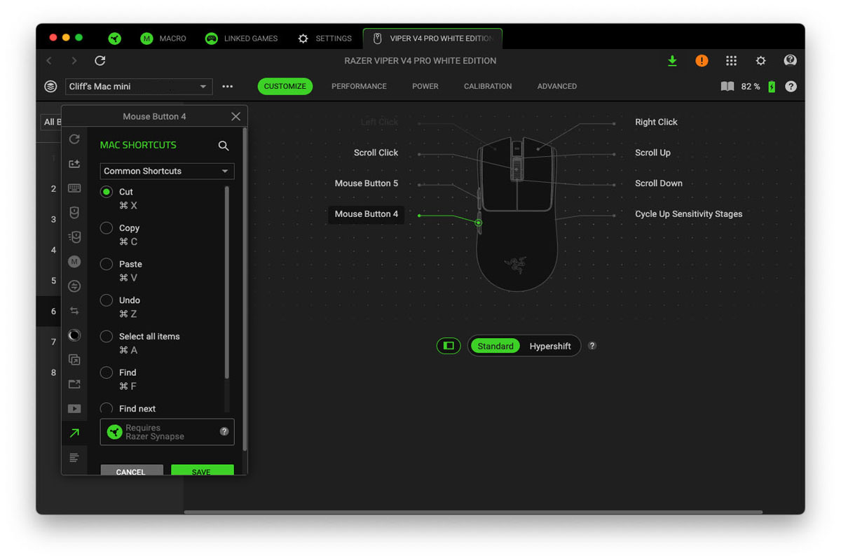 Screenshot of Synapse App running on Mac