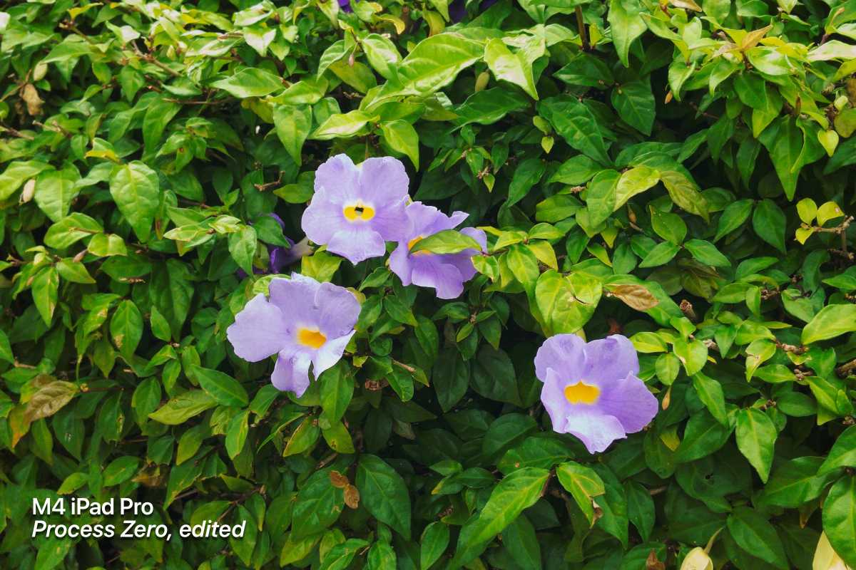 iPad Pro Process Zero