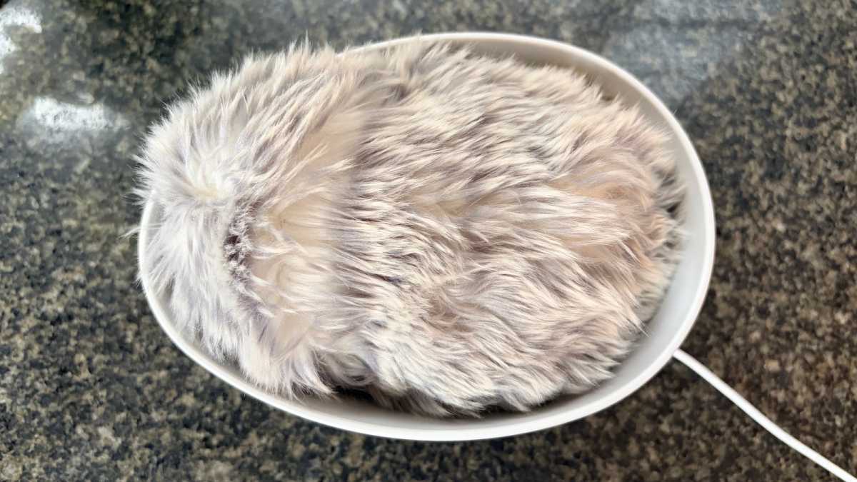 Moflin in his charging cradle