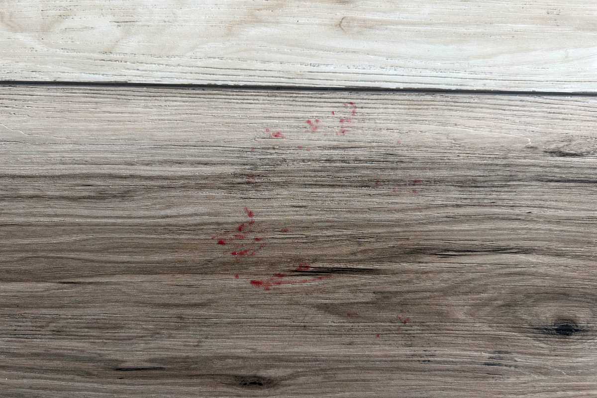 Dyson Spot+Scrub Ai 