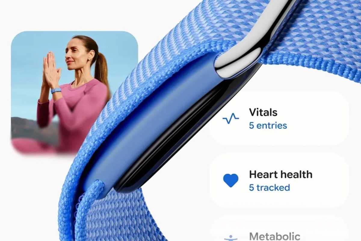 Fitbit Air data collection