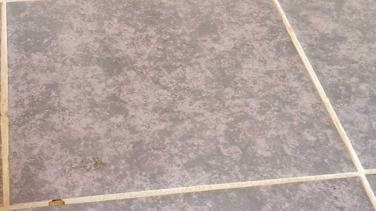 Narwal Flow 2 test result spilled coffee