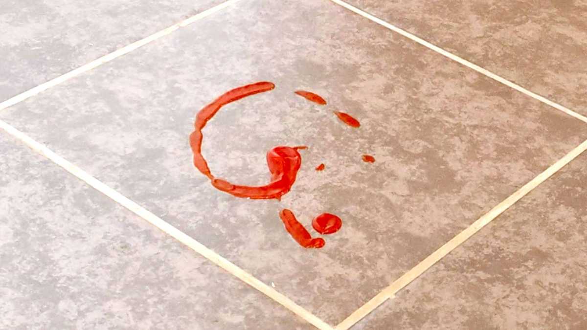 Narwal Flow 2 test substance ketchup