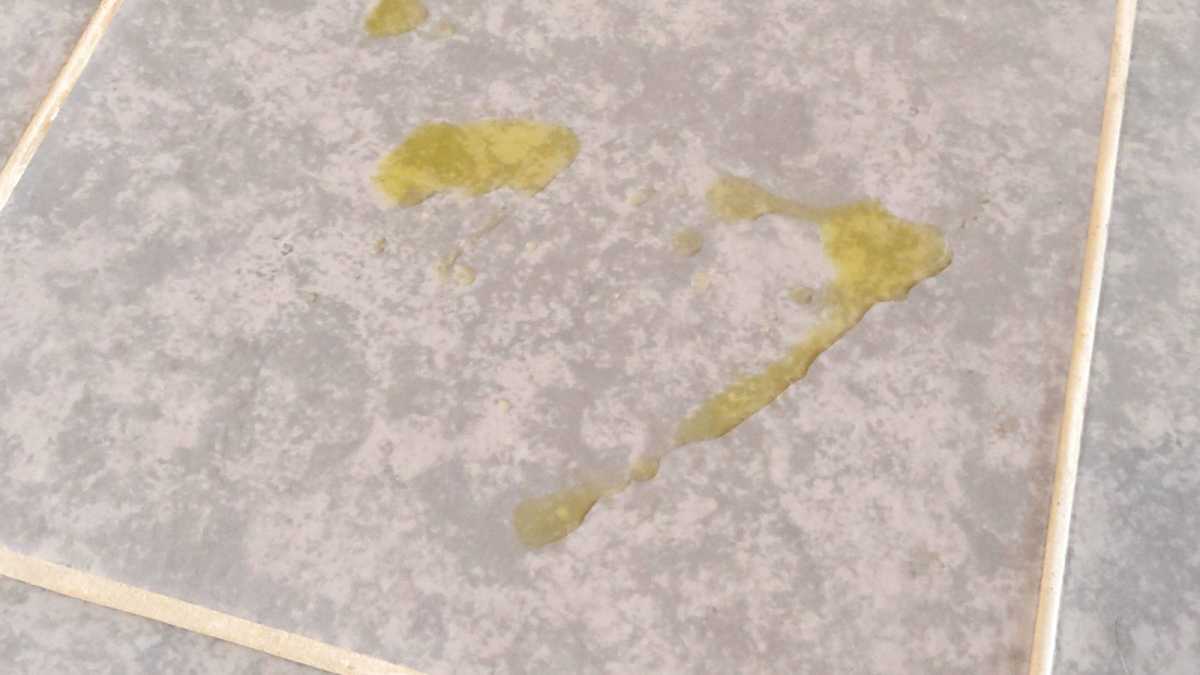 Narwal Flow 2 test substance olive oil