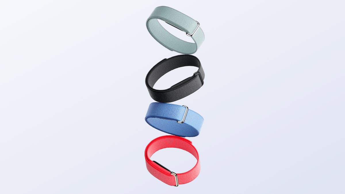Fitbit Air