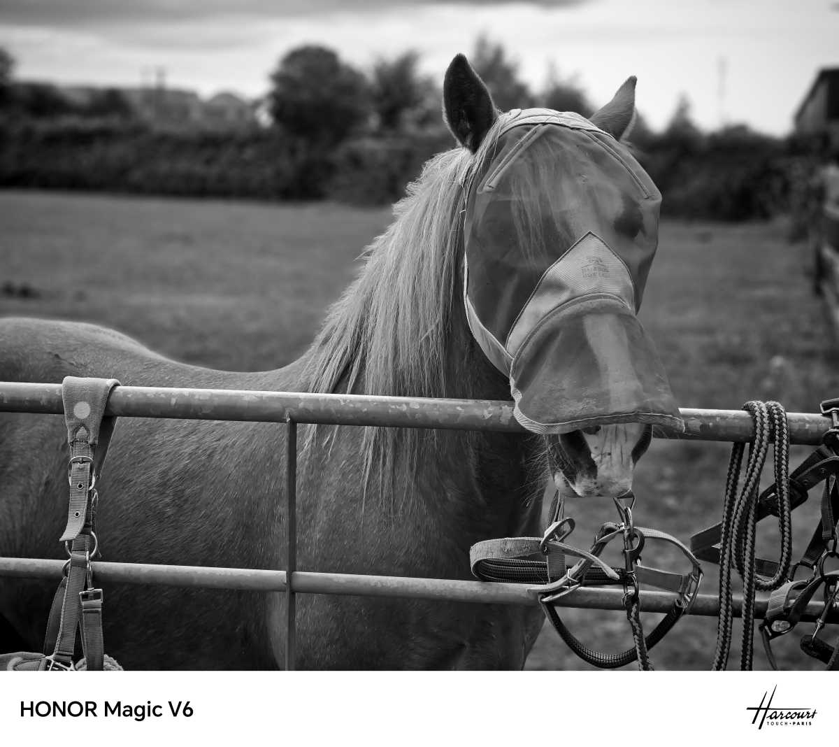 Honor Magic V6 Test photo 17