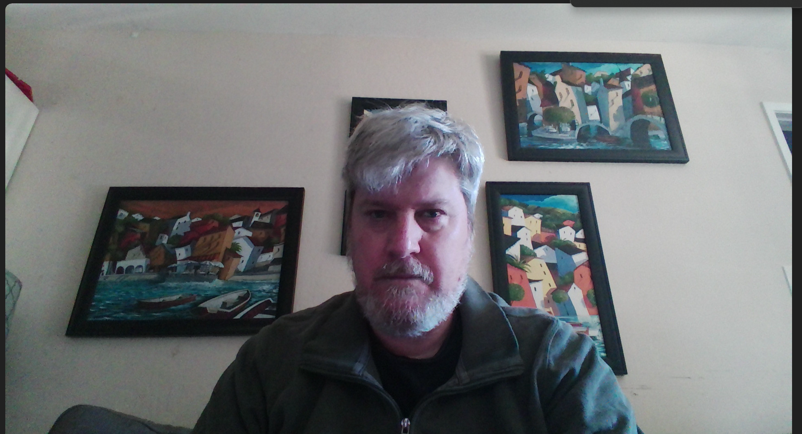 Framework Laptop 13 Pro webcam 1