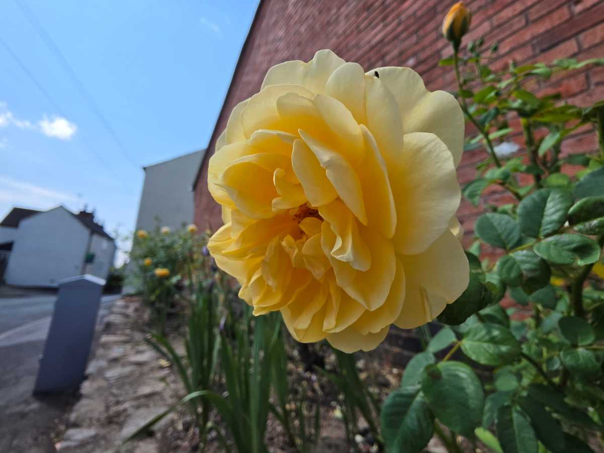Samsung Galaxy Z fold 8 Test Photo 6