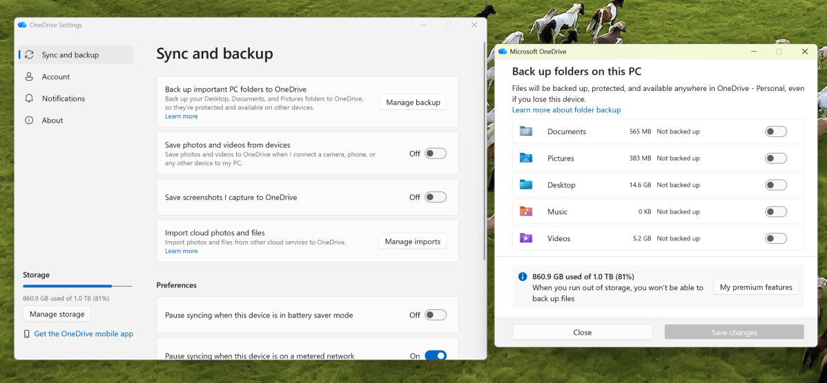 Windows OneDrive backup