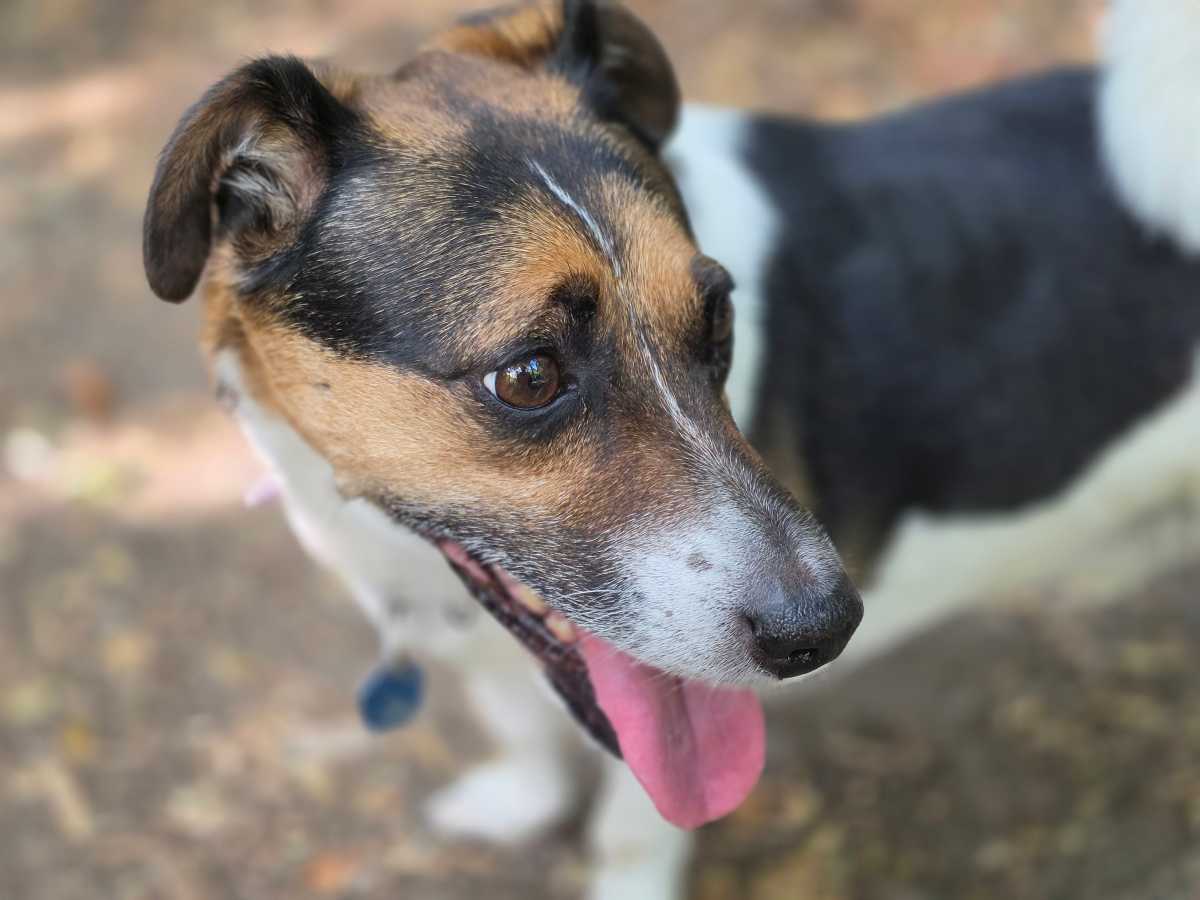 galaxy z fold 8 ultra camera test 13