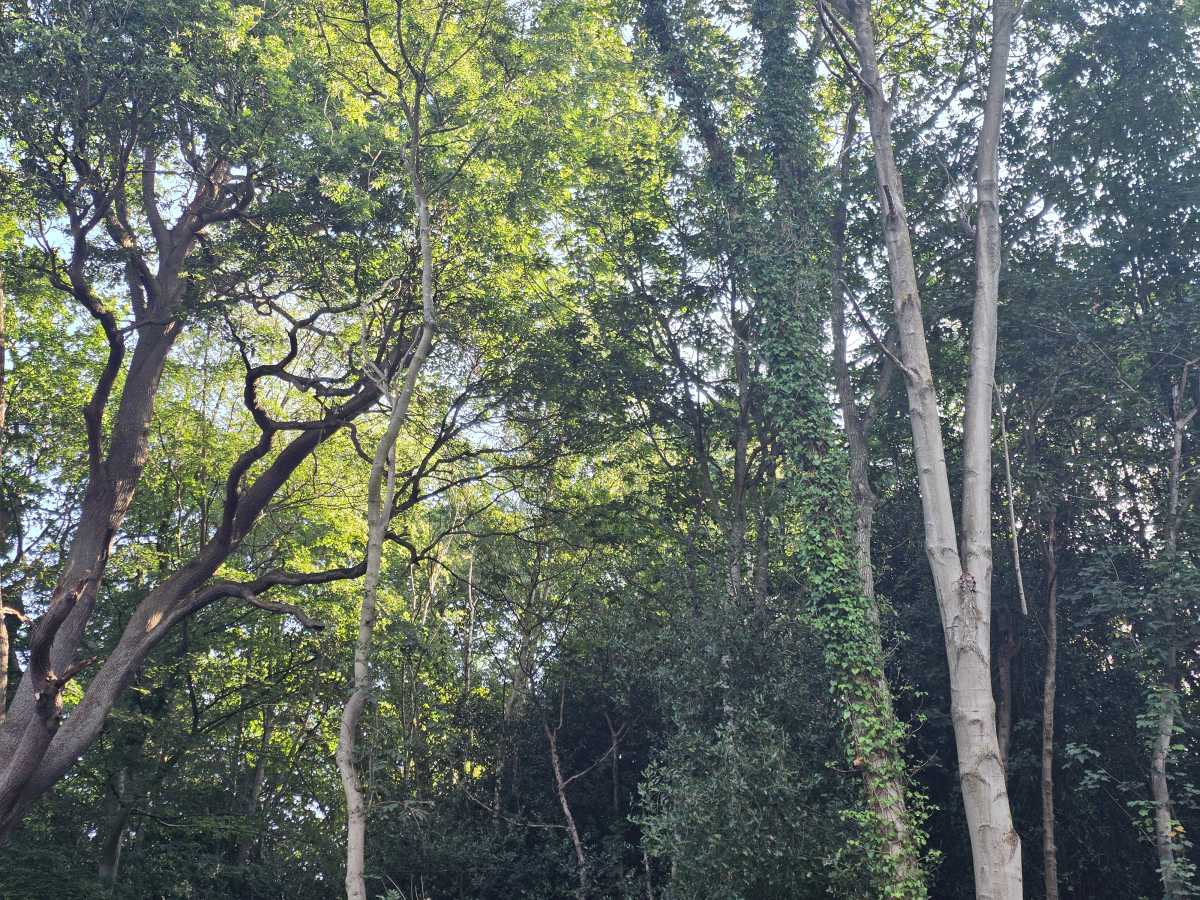 galaxy z fold 8 ultra camera test 7