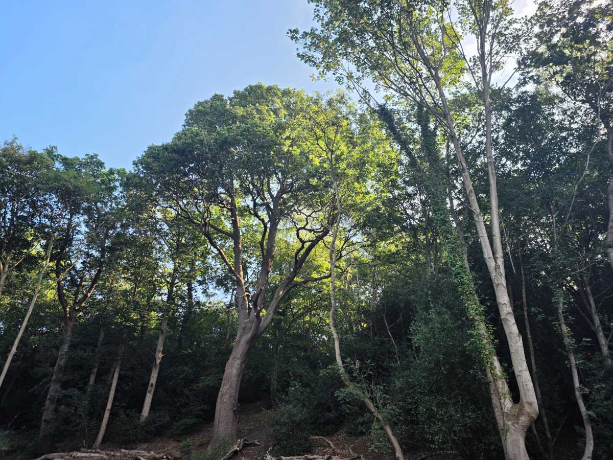 galaxy z fold 8 ultra camera test 9