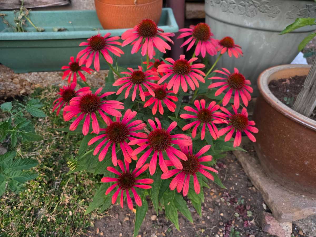 galaxy z fold 8 ultra camera test