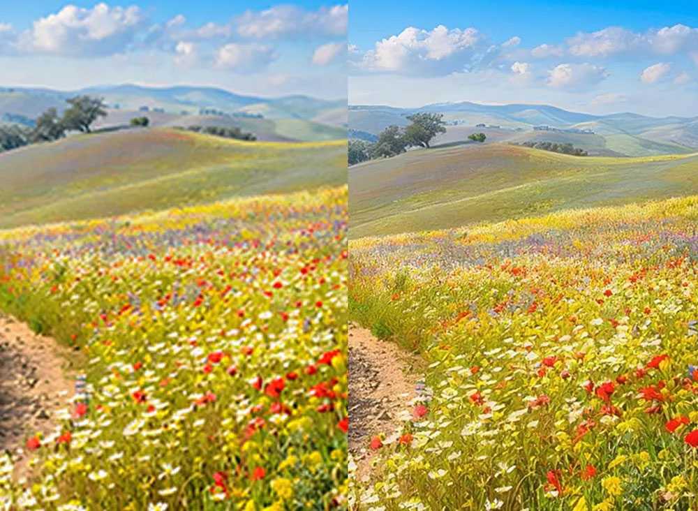 Adobe Firefly Upscale Image Field