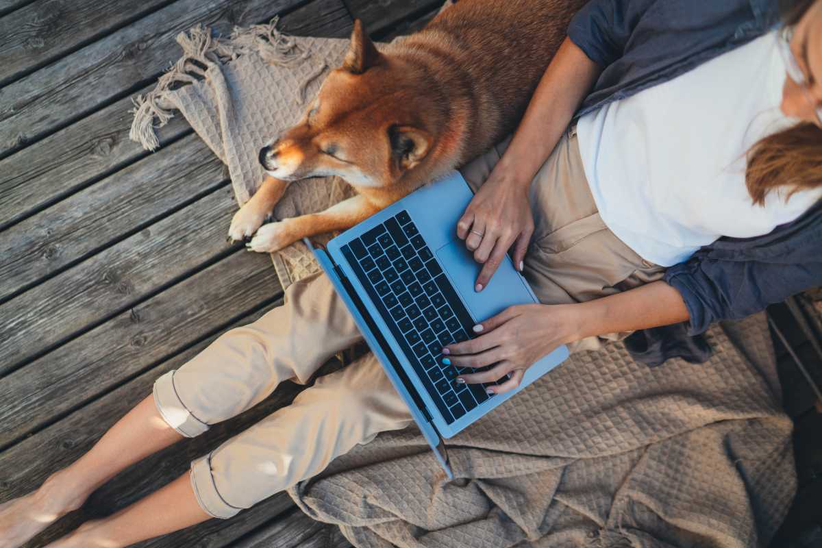 Adobe Acrobat Lifestyle