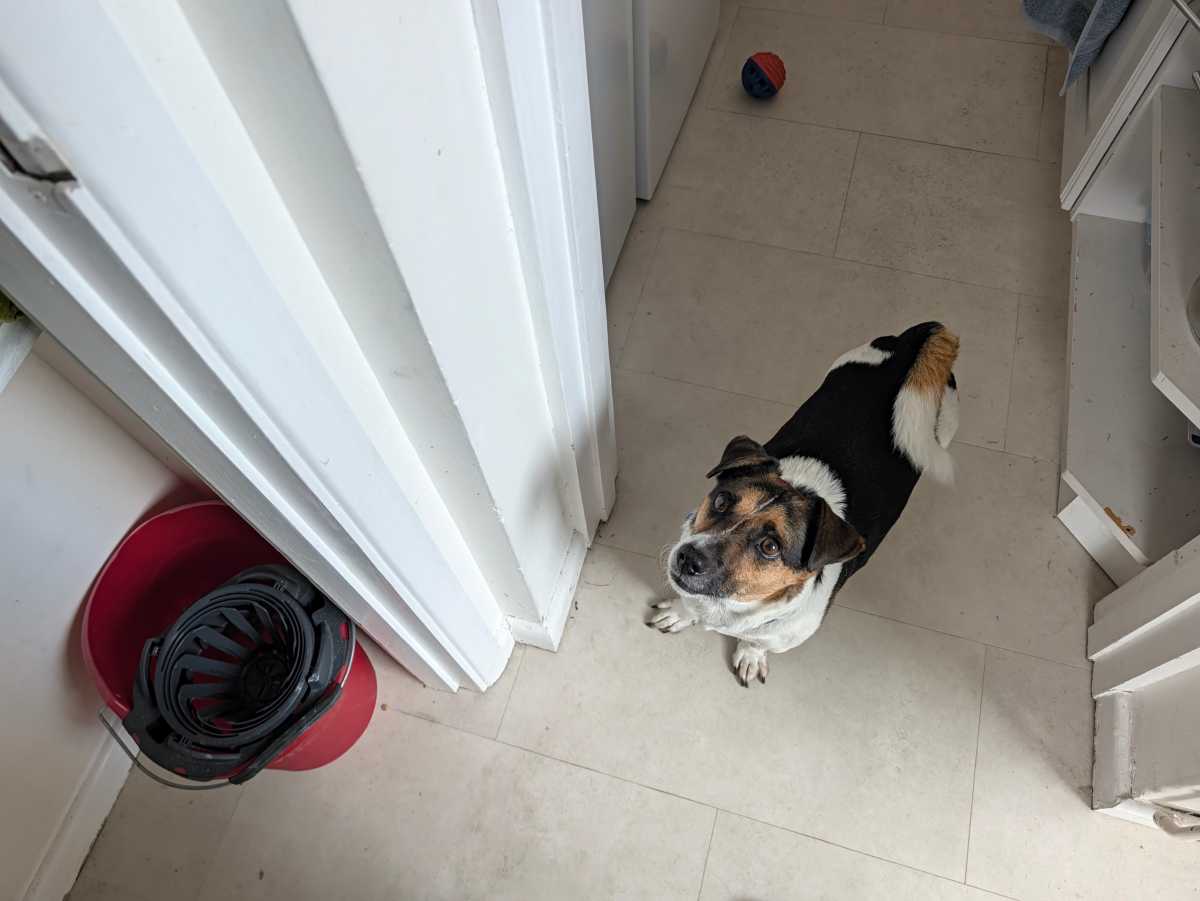 google pixel 11 pro camera sample 12