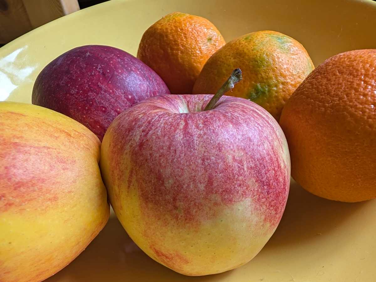 google pixel 11 pro camera sample 15