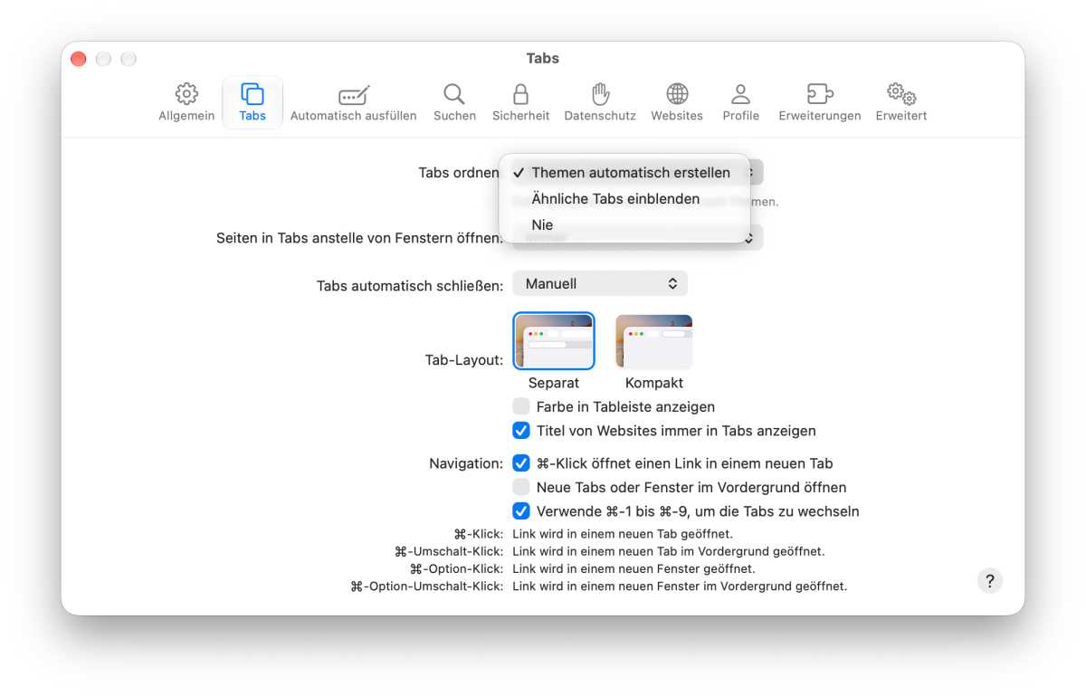 Safari 27 Tabs automatisch gruppieren