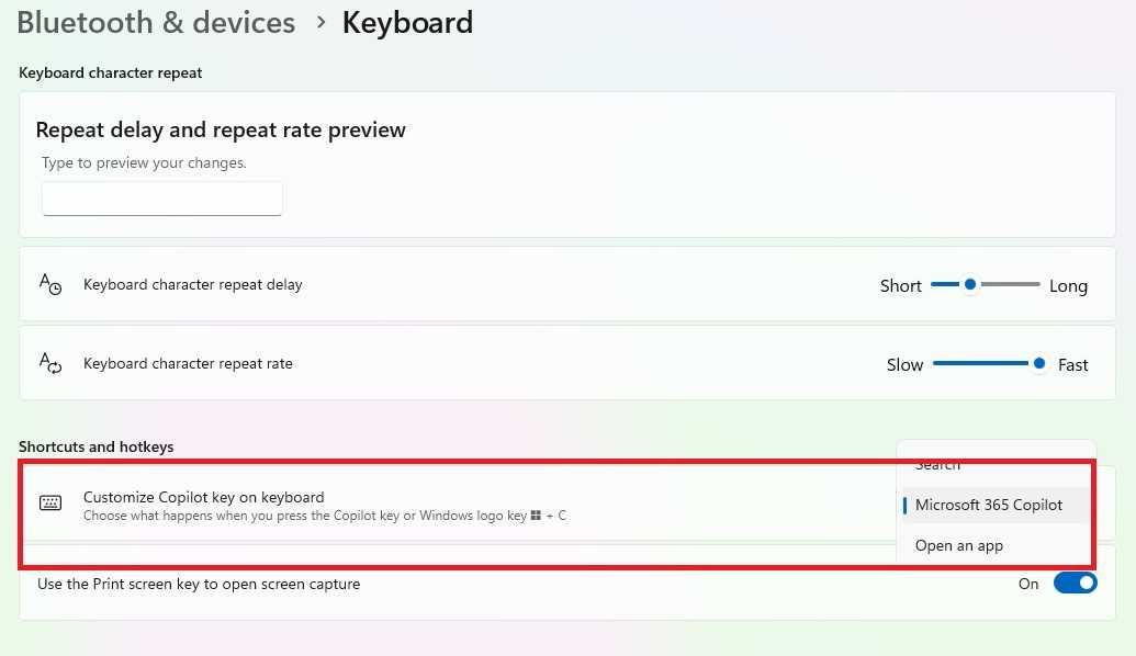 Keyboard copilot key