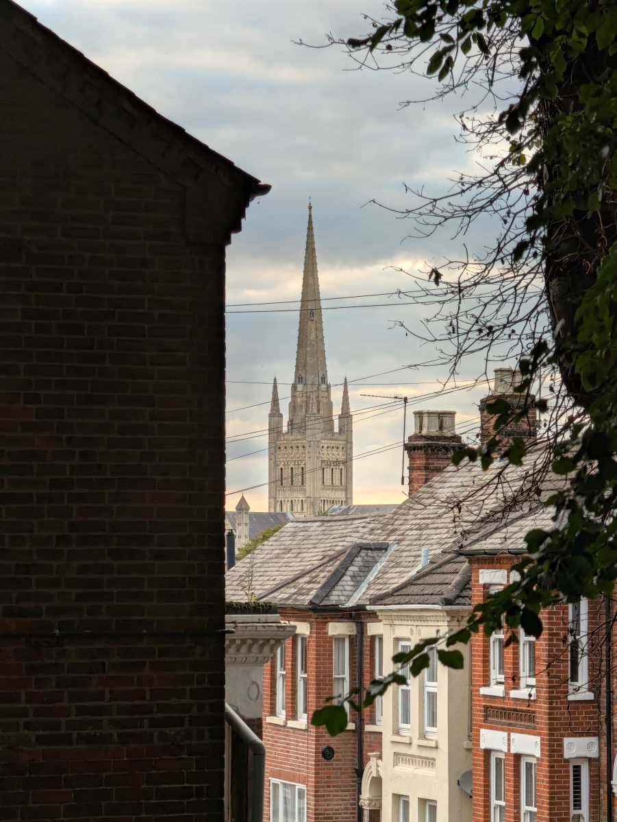 pixel 11 pro camera sample 18
