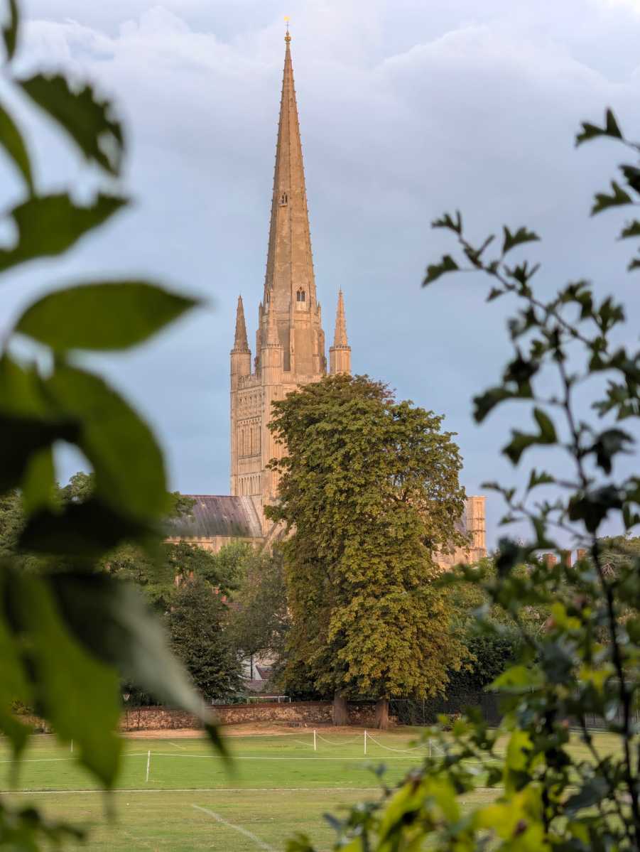 pixel 11 pro camera sample 2