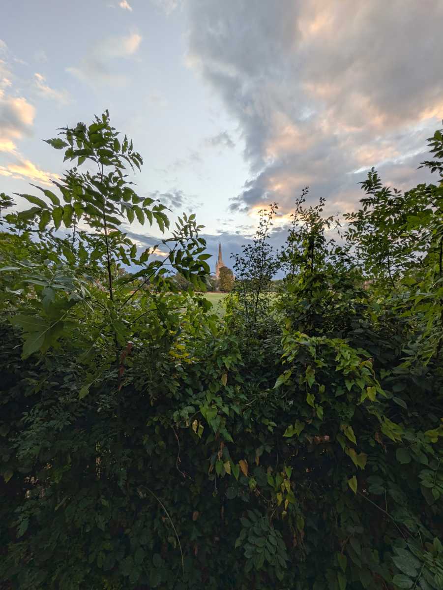 pixel 11 pro camera sample 5