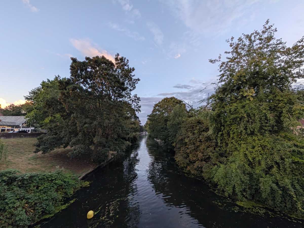 pixel 11 pro camera sample 7