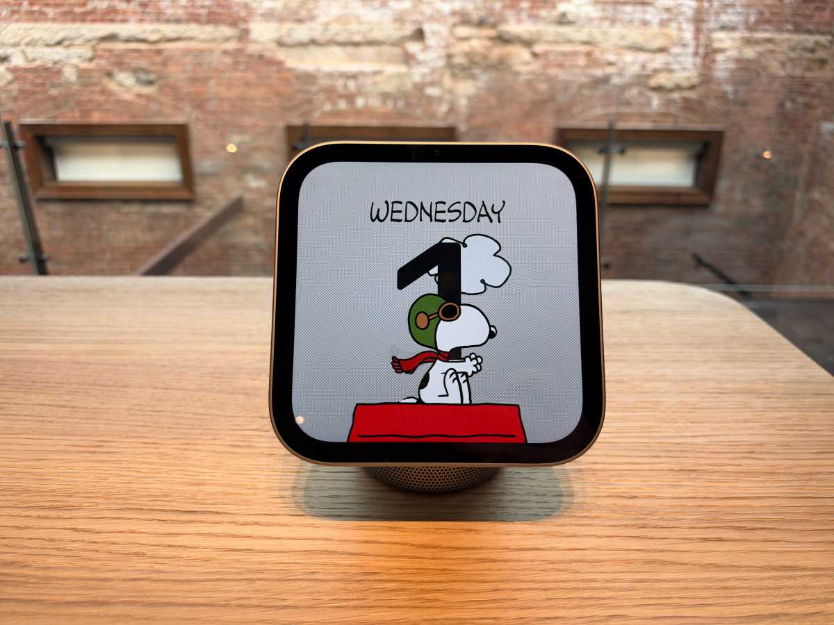 Homeview front view with Snoopy face