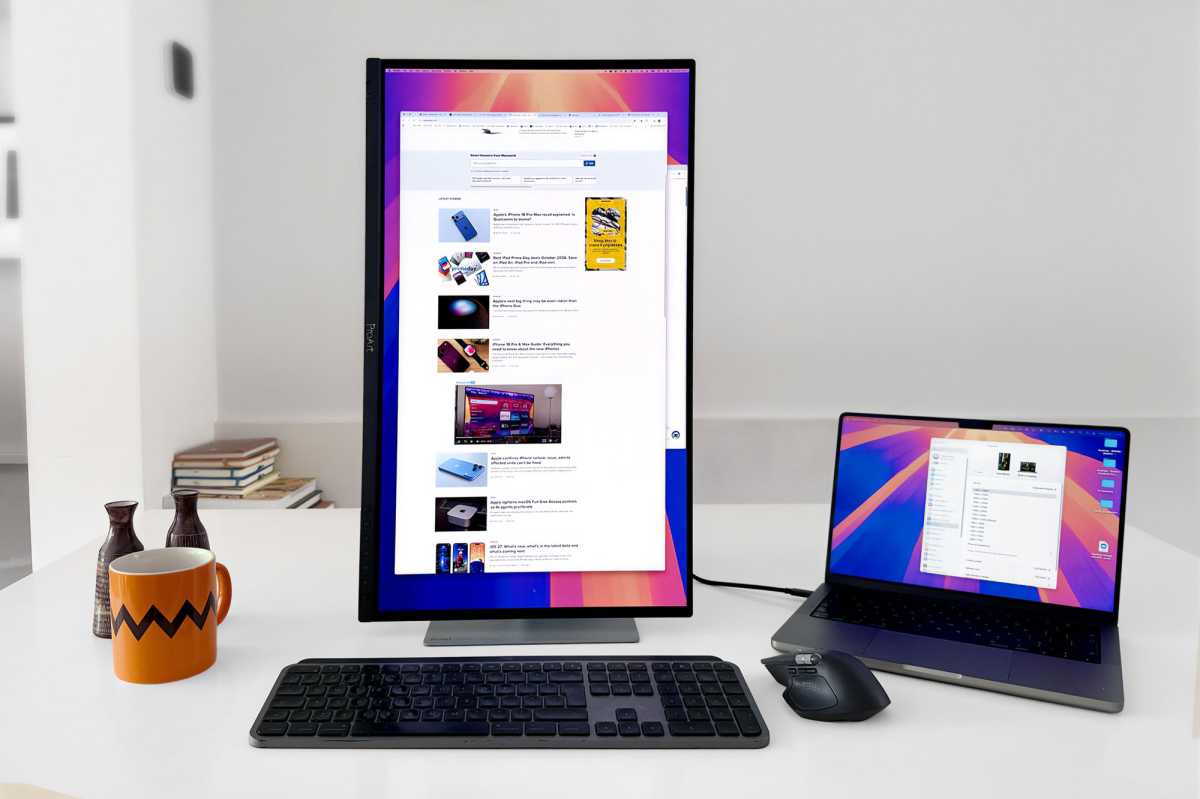 Asus ProArt Display OLED PA279CDV Portrait Mode