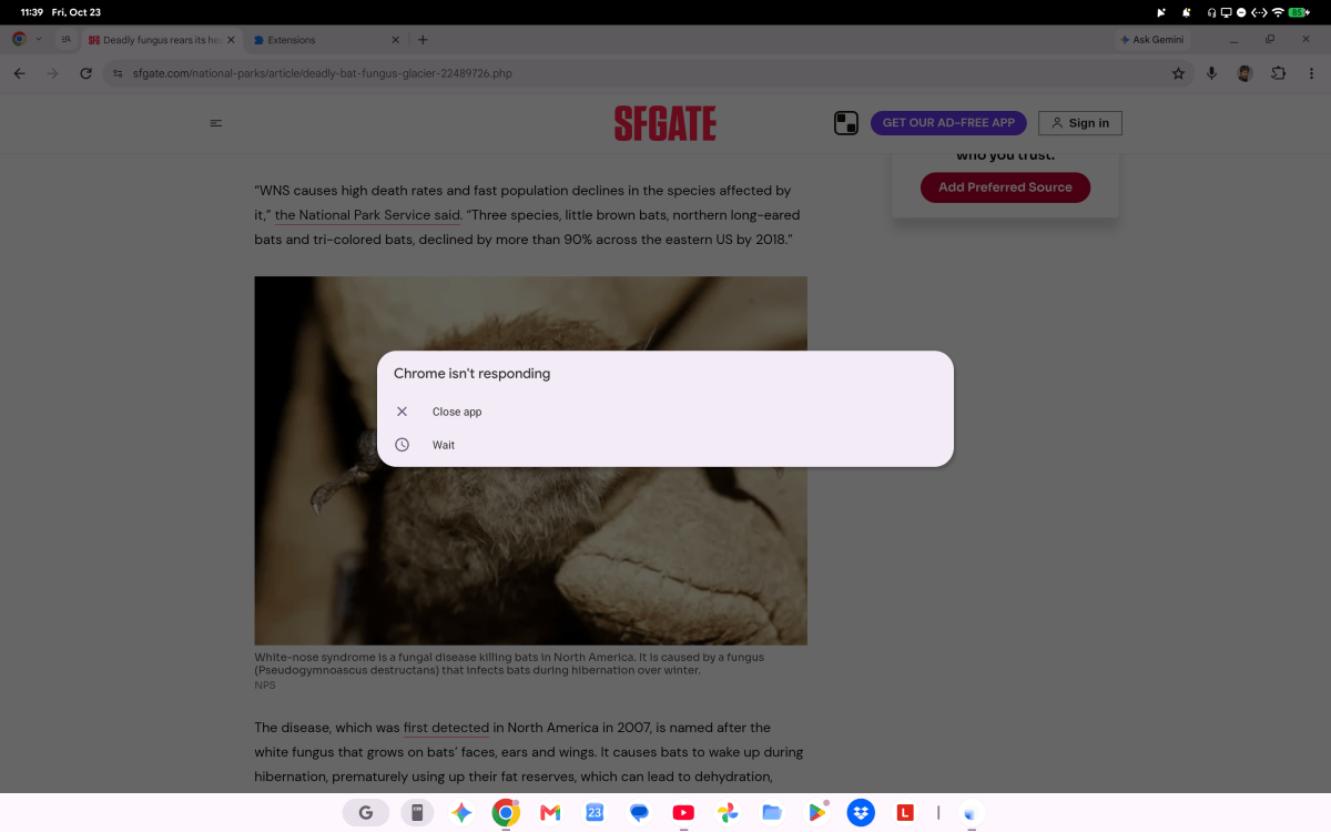 Lenovo Googlebook 15 Chrome crash