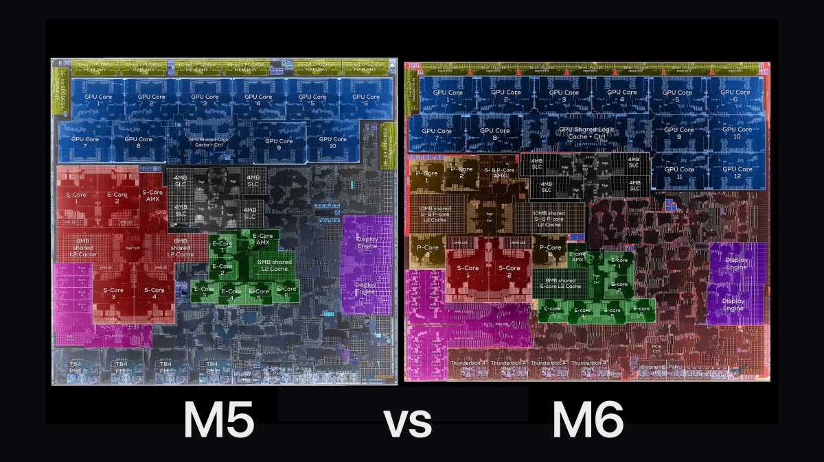 M5 vs M6
